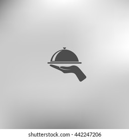 Hot proper meal plate vector illustration icon