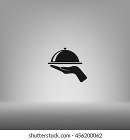 Hot proper meal plate vector illustration icon