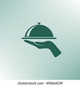 Hot proper meal plate vector illustration icon