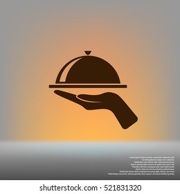 Hot proper meal plate vector illustration icon