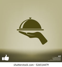 Hot proper meal plate vector illustration icon