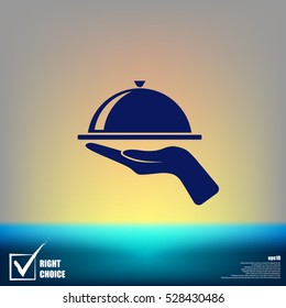 Hot proper meal plate vector illustration icon