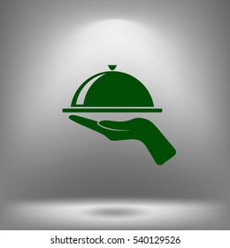 Hot proper meal plate vector illustration icon