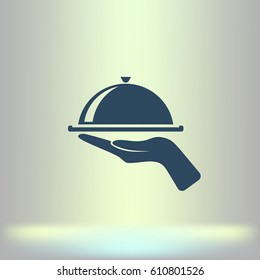 Hot proper meal plate vector illustration icon