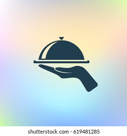 Hot Proper Meal Plate Vector Illustration Icon