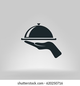 Hot Proper Meal Plate Vector Illustration Icon