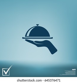 Hot proper meal plate vector illustration icon