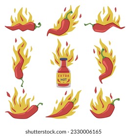 Hot Red Chili Pepper in Fire with Bright Flame and Bottle Vector Set