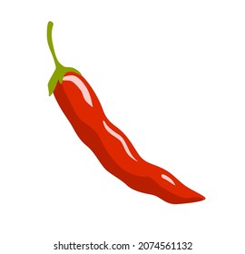 Hot red chili pepper. Spicy fresh vegetable. Cooking ingrediant. Healthy natural vegetarian food. Hand drawn flat vector illustration.