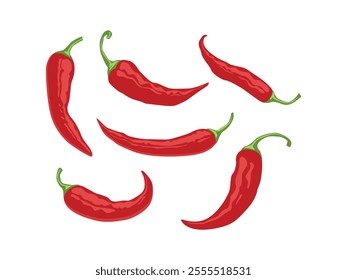 Hot red chili peppers, Flat Vector Whole Fresh Hot Chili Pepper Design Template Closeup Isolated.