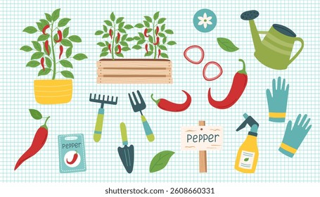 Hot red pepper cliparts isolated on checkered background. Pepper vegetable. Gardening concept. Red hot pepper and equipment for planting vegetables. Vector hand drawn illustration.