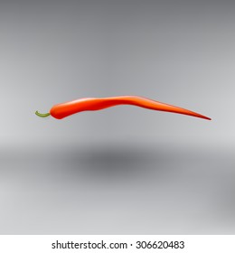 hot red pepper pod vector