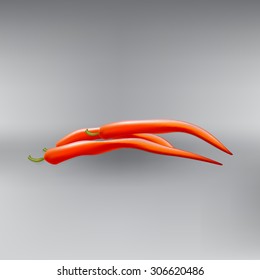 hot red pepper pod vector