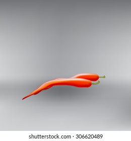 hot red pepper pod vector