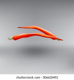 hot red pepper pod vector