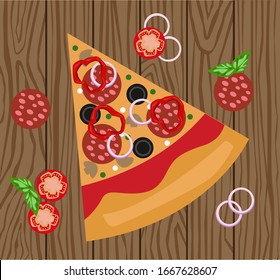 Hot Salami pizza slice vector illustration