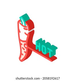 hot spice pepper isometric icon vector. hot spice pepper sign. isolated symbol illustration