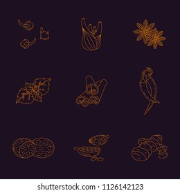 Hot spices and condiments. Hand drawn linear icon set