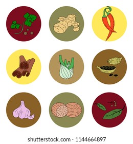Hot spices and condiments. Hand drawn linear icon set