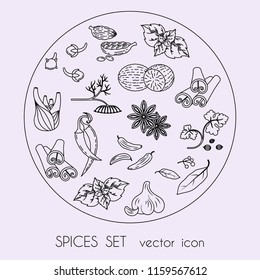 Hot spices and condiments. Hand drawn linear icon set 