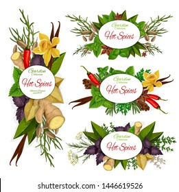 Hot spices vector icons with green herbs, vegetable seasonings and food condiments. Chilli pepper, vanilla pod and cinnamon stick, mint, basil and ginger root, star anise, dill, thyme and bay leaves