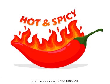 Hot and spicy icon. Vector red hot chilli that feels hot like a fire. isolate on white background.