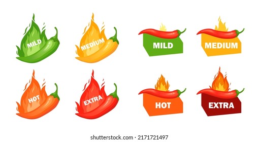 Hot spicy level with flame pepper. Infographic design template with red hot chili pepper on white background. Vector illustration.