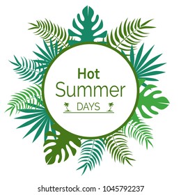 Hot summer days promotional poster with green tropical leaves, round frame with place for text surrounded by exotic plants, advertisement vector banner