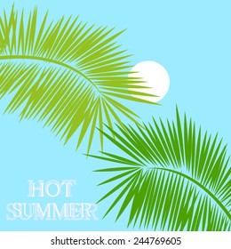 hot summer tropical background