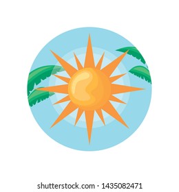 hot sun in frame circular with leafs tropicals
