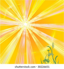 Hot sun of summer vector abstract background ( for high res JPEG or TIFF see image 30226654 )
