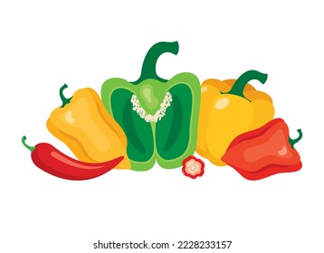 Hot and sweet peppers icon vector. Green, red, yellow bell pepper icon set isolated on a white background. Different types of peppers drawing
