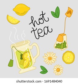 Hot Tea Collection of green, herbal or ceylon tea in the bag with different ingredients like lemon and mint leaves, tea bag. Vector isolated graphic design elements and illustration.