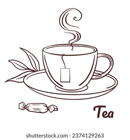Hot tea drink cup and leaves. Hand drawn Cup and saucer illustration for cold days drinks. winter mood doodle vector Mug with tea, herbal tea, cookie. Concept for cafe, poster, recipes, social media