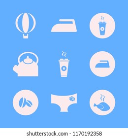 hot vector icons set. with iron, panties rose, balloon and hot chicken in set