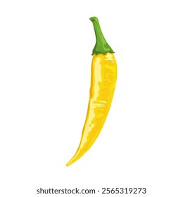 Hot yellow chili pepper vector illustration, isolated on white background.