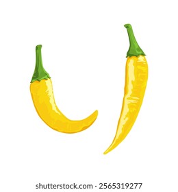 Hot yellow chili pepper vector illustration, isolated on white background.