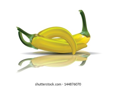 Hot yellow Chilies with reflection. Editable vector format.