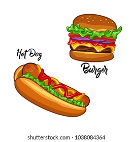 Hotdog and burger illustration fast food