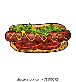 Hotdog with tomato, mustard, leave lettuce. Top view. Vector color vintage engraving illustration for poster, menu, web. Isolated on white background.