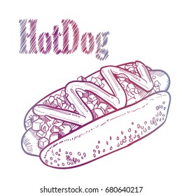 Hotdog vector illustration, hand drawn hot dog illustration