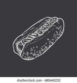 Hotdog vector illustration, hand drawn hot dog illustration