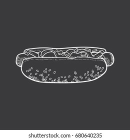 Hotdog vector illustration, hand drawn hot dog illustration