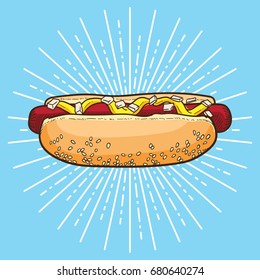 Hotdog vector illustration, hand drawn hot dog illustration