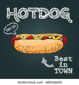 Hotdog vector illustration, hand drawn hot dog illustration, hot dog vector poster