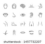 Houman body parts flat line icons set. Man, woman head, brain nose, mouth, foot, ear, lips vector illustration. Outline signs for plastic surgery medical clinic. Editable Strokes.