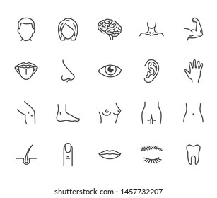 Houman body parts flat line icons set. Man, woman head, brain nose, mouth, foot, ear, lips vector illustration. Outline signs for plastic surgery medical clinic. Editable Strokes.