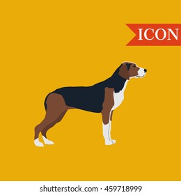 Hound dog whippet background with banner