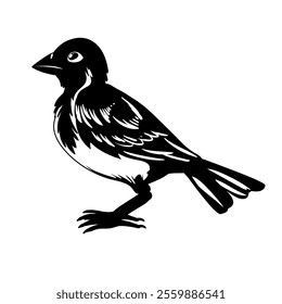 The house bird Sparrow silhouette of standing bird vector