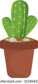 House cactus in pot, illustration, vector on a white background.